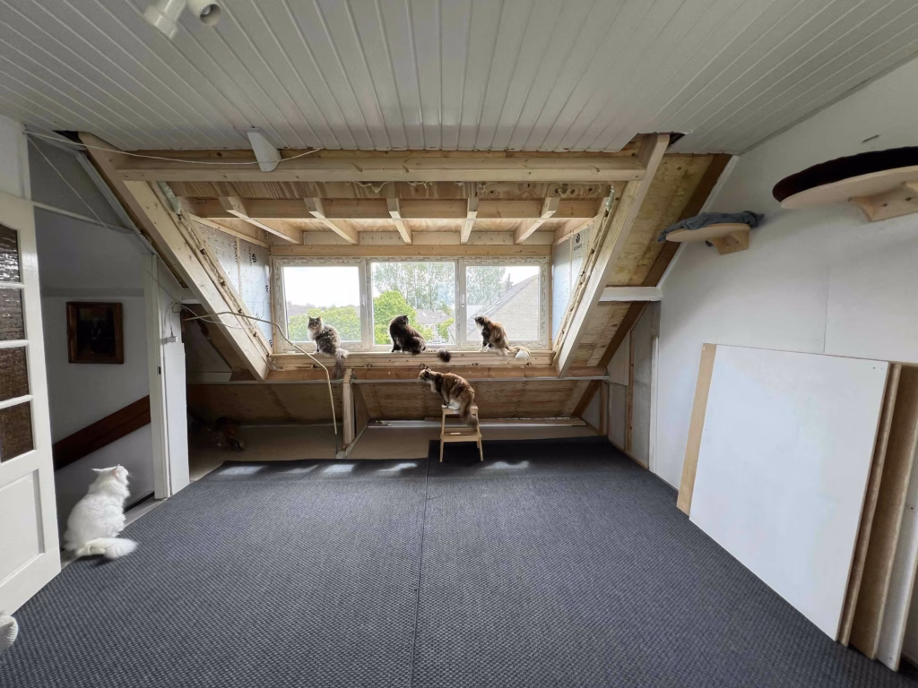Dakkapel 6 meter laten plaatsen