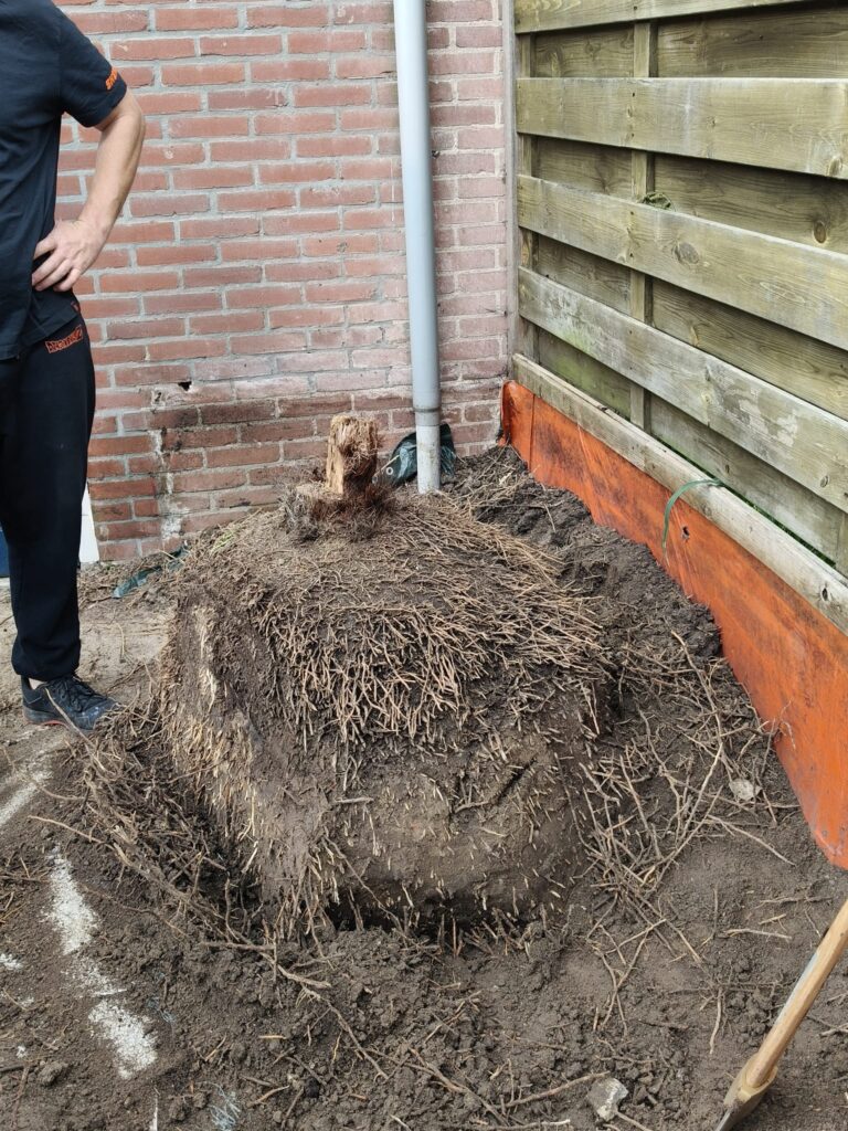 Boomstronk bij schutting verwijderd
