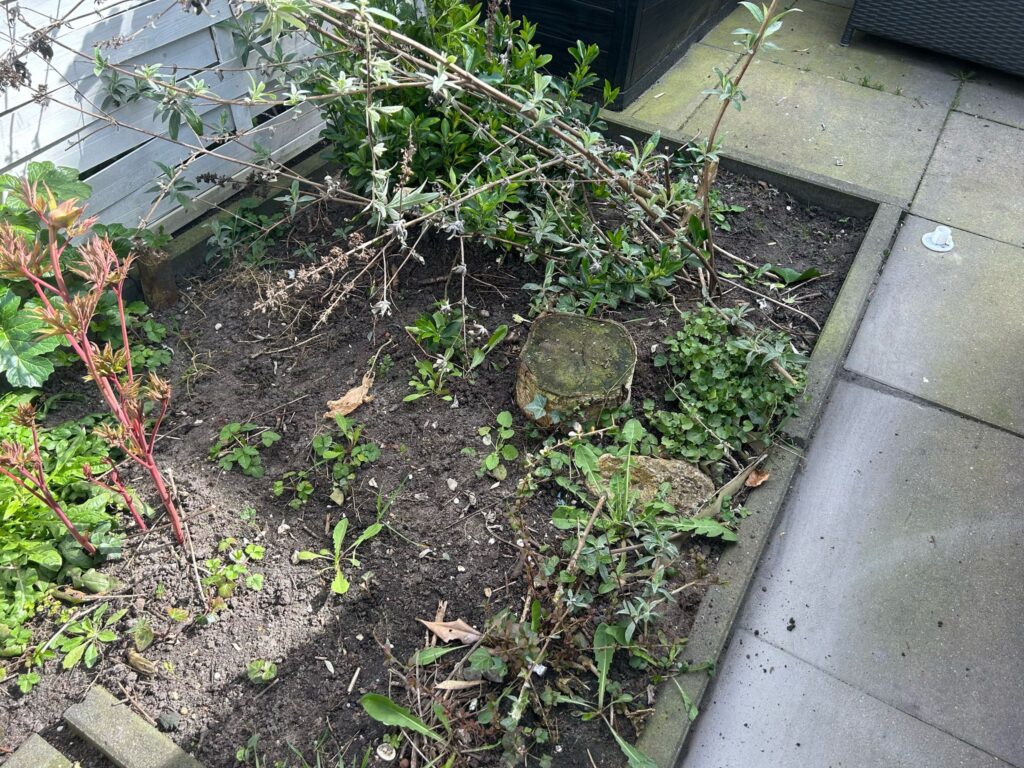 Boomstronk verwijderen om een moestuin van te maken