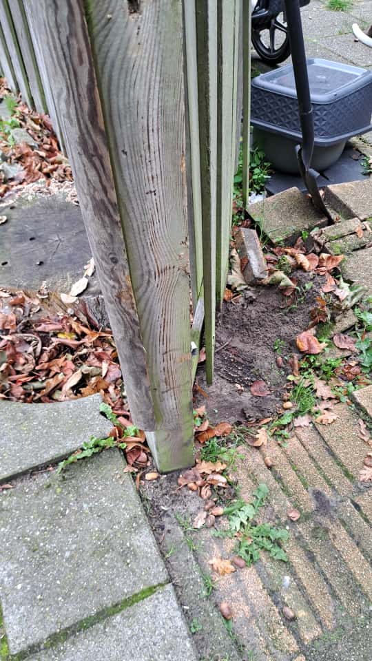 Boomstronk verwijderd omdat de wortels de schutting aantaste